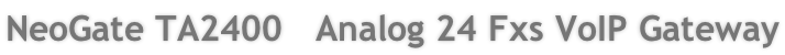 NeoGate TA2400   Analog 24 Fxs VoIP Gateway